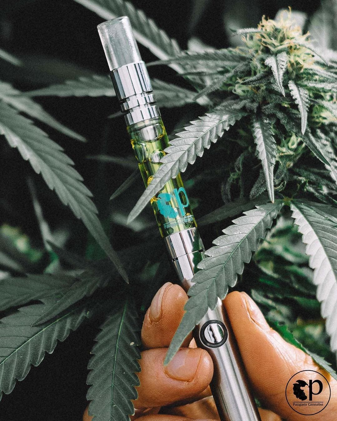 Premium Concentrates